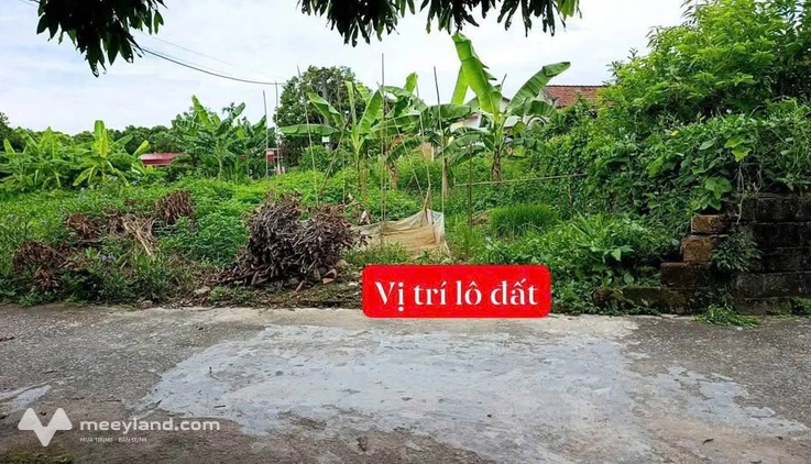 Bất động sản tại Hà Nam - ảnh 1