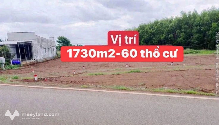 Bất động sản tại Bà Rịa - Vũng Tàu - ảnh 1