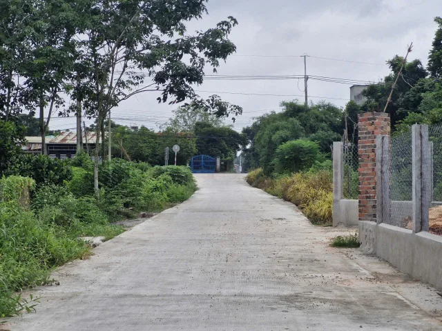 Bất động sản tại Bình Dương - ảnh 1