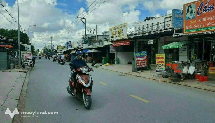 Bất động sản tại Long An - ảnh 1