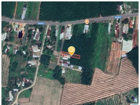 Bất động sản tại Bình Dương - ảnh 1