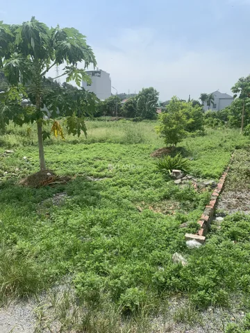 Bất động sản tại Quảng Ninh - ảnh 1
