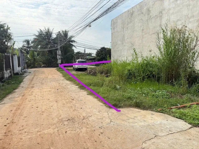 Bất động sản tại Long An - ảnh 1