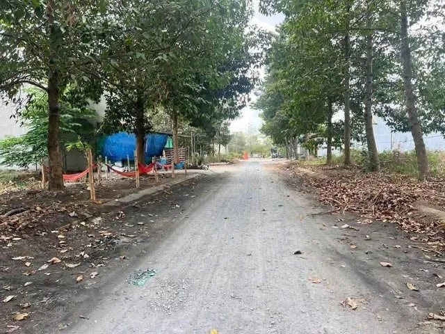 Bất động sản tại Long An - ảnh 1