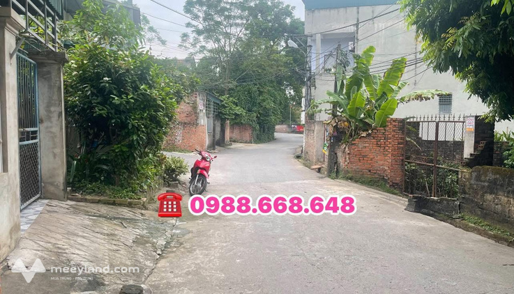 Bất động sản tại Phú Thọ - ảnh 1