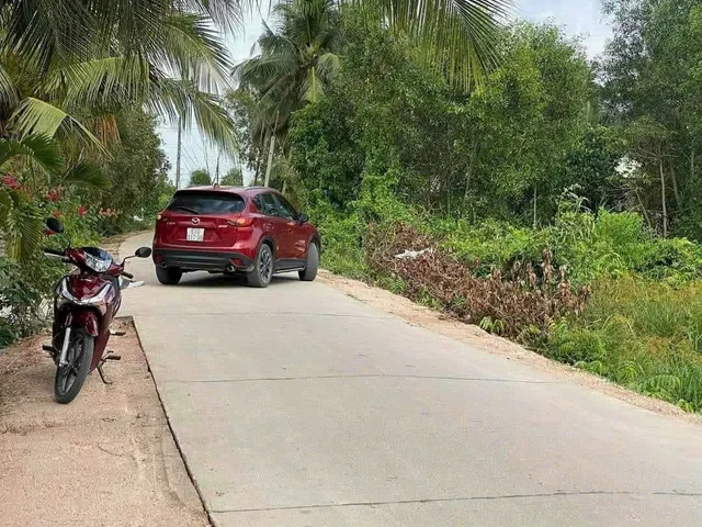 Bất động sản tại Long An - ảnh 1