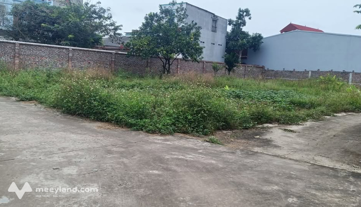 Bất động sản tại Bắc Giang - ảnh 1
