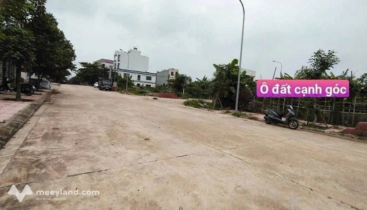 Bất động sản tại Vĩnh Phúc - ảnh 1