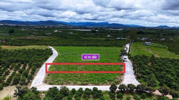 Bất động sản tại Lâm Đồng - ảnh 1