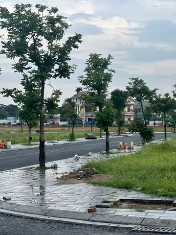 Bất động sản tại Phú Thọ - ảnh 1