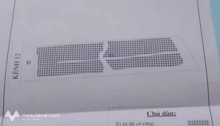 Bất động sản tại Cà Mau - ảnh 1
