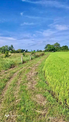 Bất động sản tại Lâm Đồng - ảnh 1