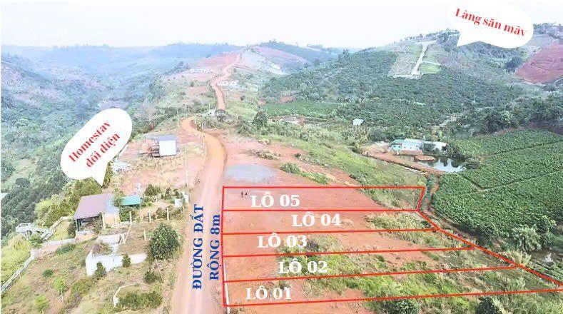 Bất động sản tại Lâm Đồng - ảnh 1
