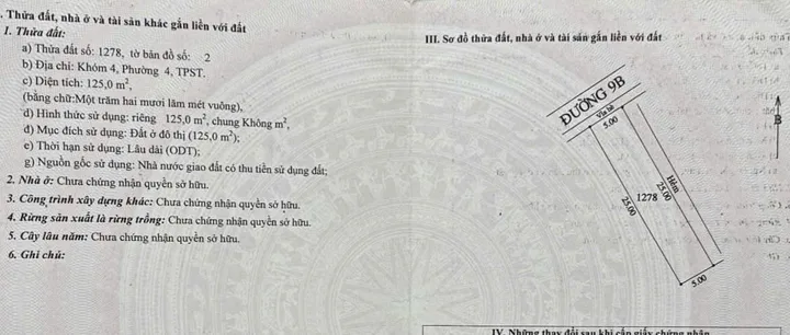 Bất động sản tại Cần Thơ - ảnh 1