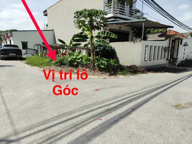 Bất động sản tại Phú Thọ - ảnh 1