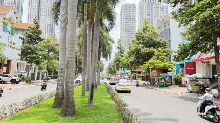 Bất động sản tại TP. Hồ Chí Minh - ảnh 1
