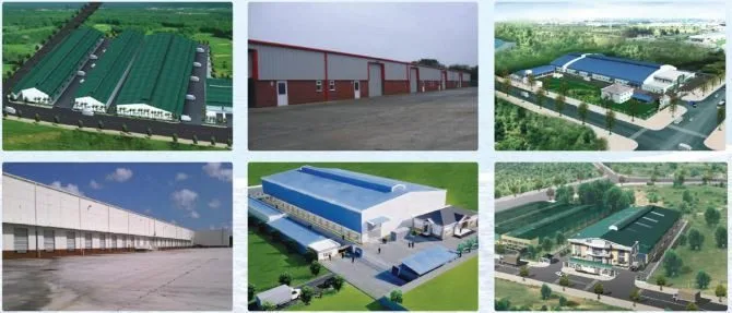 Bất động sản tại Bình Thuận - ảnh 1