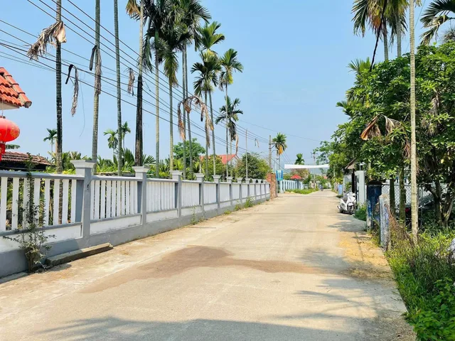Bất động sản tại Đà Nẵng - ảnh 1