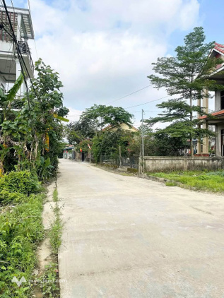 Bất động sản tại Thừa Thiên Huế - ảnh 1