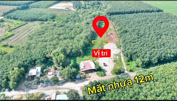 Bất động sản tại Bình Dương - ảnh 1