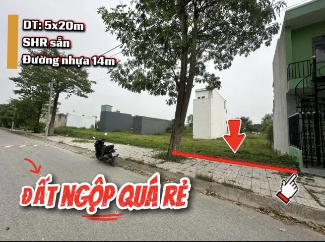 Bất động sản tại Tây Ninh - ảnh 1