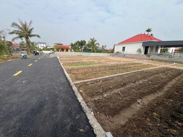 Bất động sản tại Hải Phòng - ảnh 1