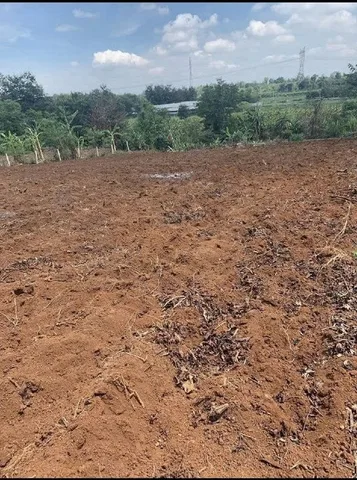 Bất động sản tại Đắk Lắk - ảnh 1