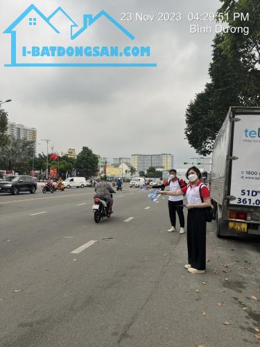 Bất động sản tại Bình Dương - ảnh 1