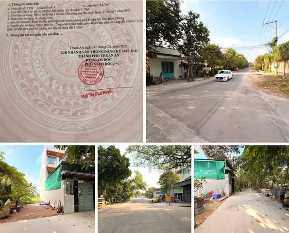 Bất động sản tại Bình Dương - ảnh 1