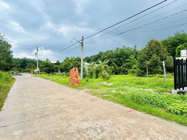 Bất động sản tại Bình Dương - ảnh 1