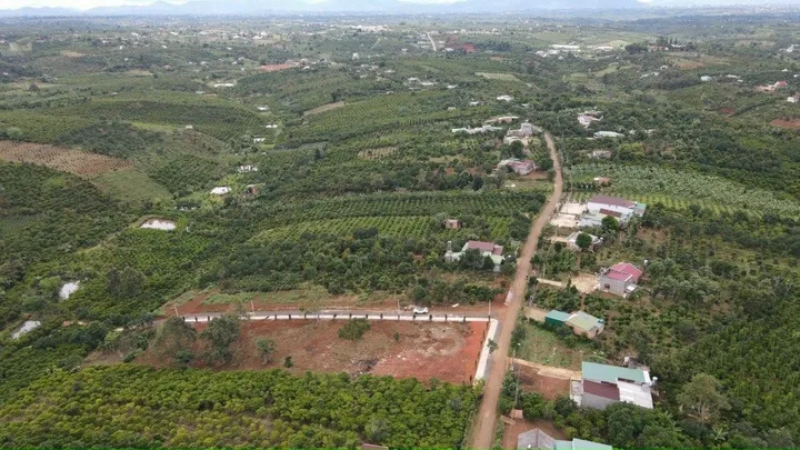 Bất động sản tại Lâm Đồng - ảnh 1