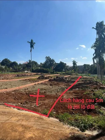 Bất động sản tại Đắk Lắk - ảnh 1