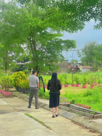 Bất động sản tại Đà Nẵng - ảnh 1