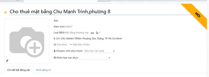 Bất động sản tại TP. Hồ Chí Minh - ảnh 1