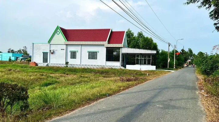 Bất động sản tại Long An - ảnh 1