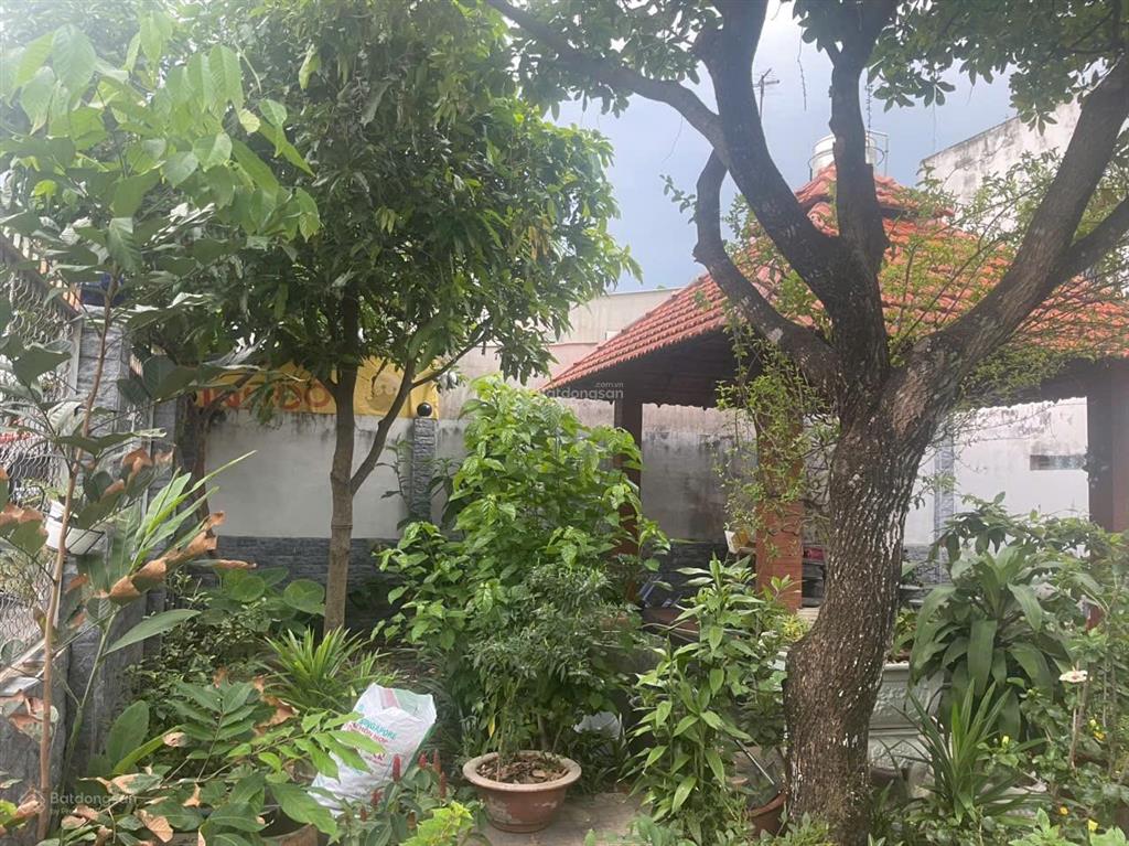 Bất động sản tại Bình Dương - ảnh 1