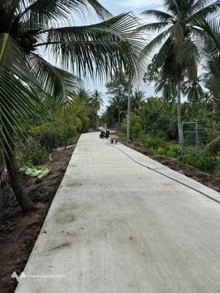 Bất động sản tại Bến Tre - ảnh 1
