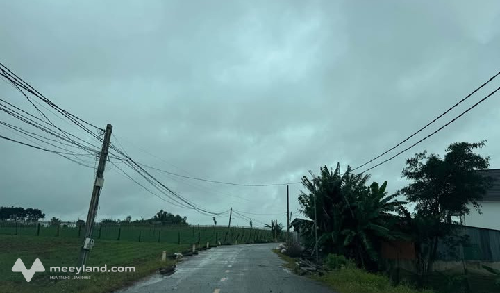 Bất động sản tại Lâm Đồng - ảnh 1
