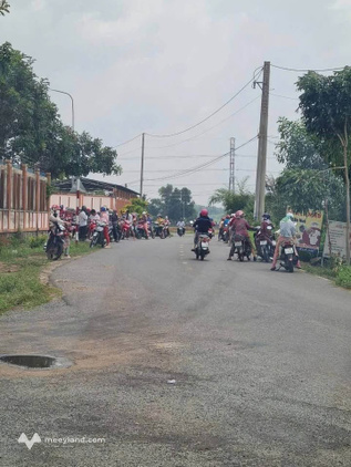 Bất động sản tại Bà Rịa - Vũng Tàu - ảnh 1