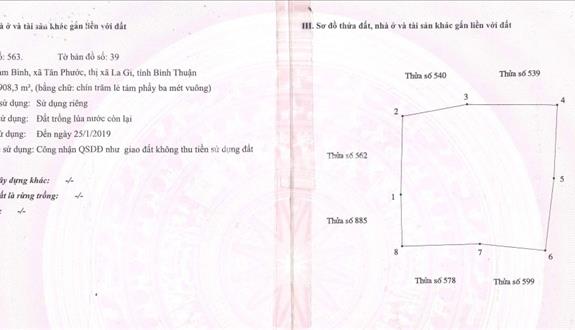 Bất động sản tại Bình Thuận - ảnh 1