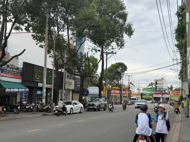 Bất động sản tại Bình Dương - ảnh 1