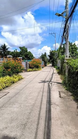 Bất động sản tại Vĩnh Long - ảnh 1