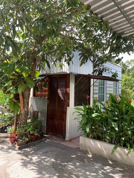 Bất động sản tại An Giang - ảnh 1