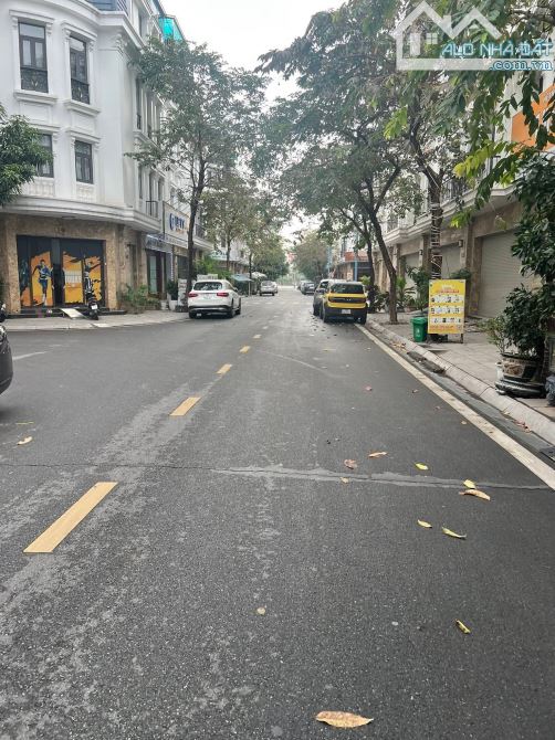 Bất động sản tại Hải Phòng - ảnh 1