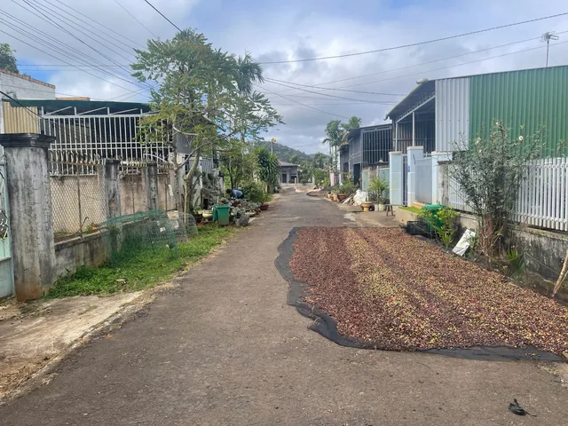 Bất động sản tại Đắk Lắk - ảnh 1