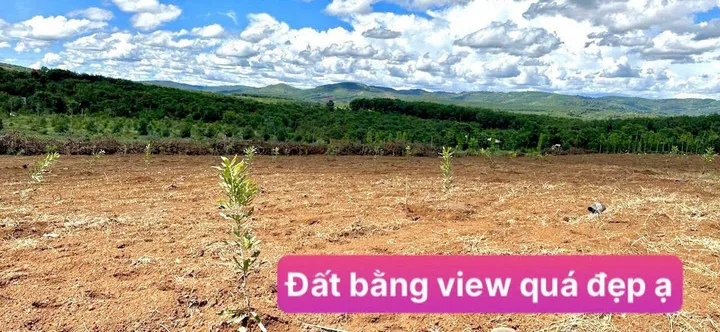 Bất động sản tại Lâm Đồng - ảnh 1