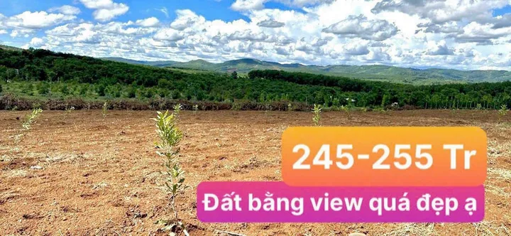 Bất động sản tại Lâm Đồng - ảnh 1