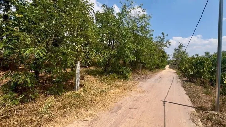 Bất động sản tại Lâm Đồng - ảnh 1