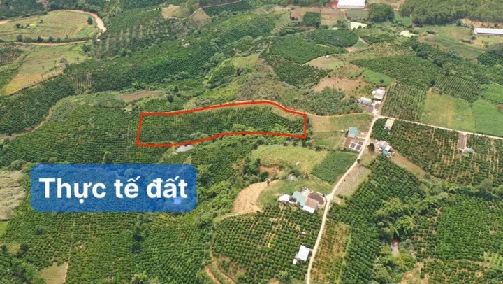Bất động sản tại Lâm Đồng - ảnh 1