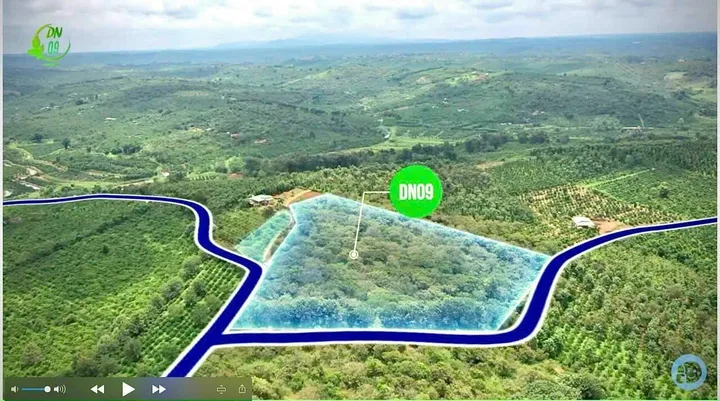 Bất động sản tại Lâm Đồng - ảnh 1